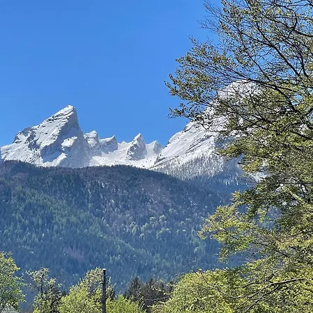 Waldwinkel Appartement